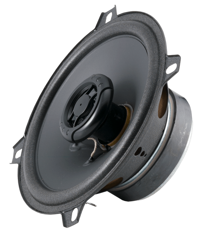 RX 5" Speaker - Phoenix Gold