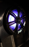 Marine/Powersports 6.5” Black Coaxial Marine Speakers with Built-In Multi-Color RGB Lighting - Phoenix Gold