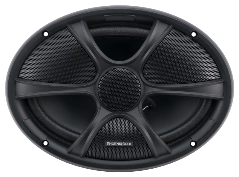 RX 6x9" Speaker - Phoenix Gold