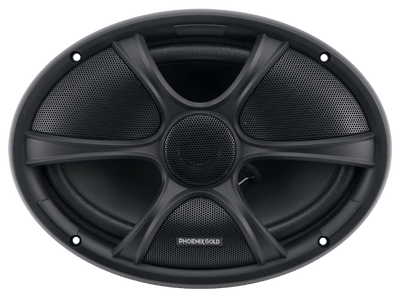 RX 6x9" Speaker - Phoenix Gold