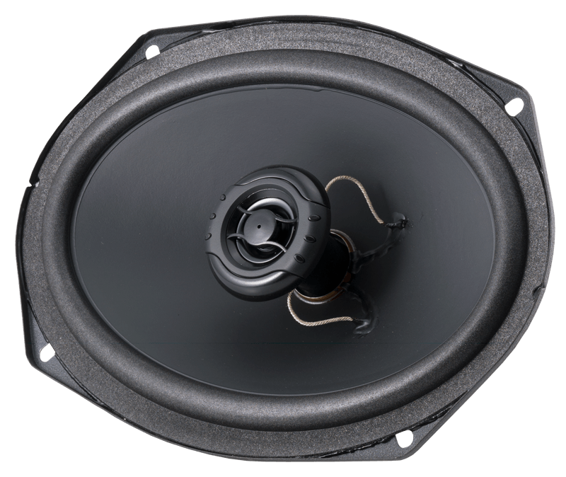 RX 6x9" Speaker