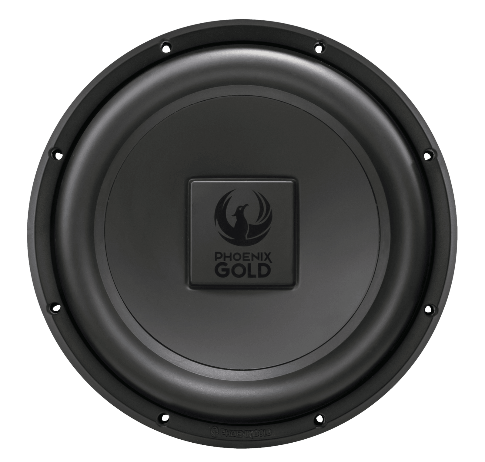 RX2 10" 200W Dual 4-Ohm Subwoofer - Phoenix Gold