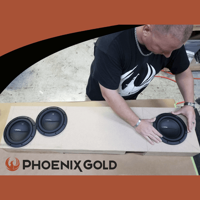 SX 10" 2-Ohm DVC Subwoofer - Phoenix Gold