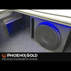 SX 10" 4-Ohm DVC Subwoofer - Phoenix Gold