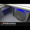 SX 12" 2-Ohm DVC Subwoofer - Phoenix Gold